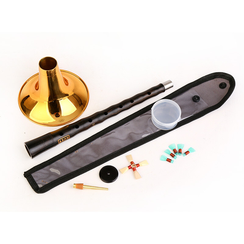 HongYiFengMing (HongYiFengMing) Ebony D Key Golden Bowl Beginner Adult Introduction General Teaching Music Score Suona Complete Set
