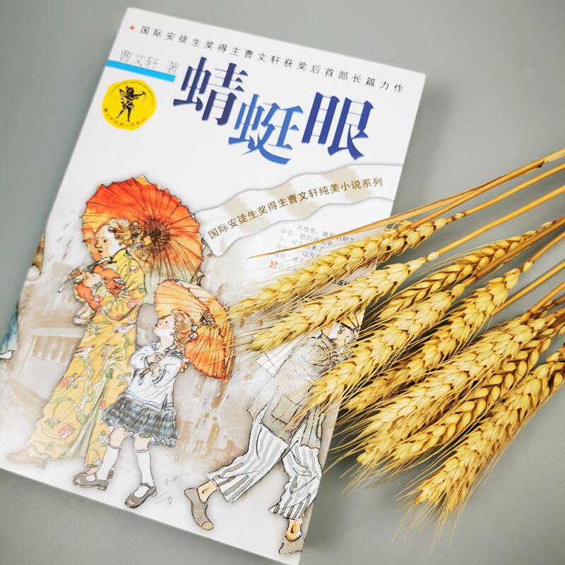 Cao Wenxuan's pure and beautiful novel Dragonfly Eyes/International Hans Christian Andersen Award winner Cao Wenxuan's first novel after winning the award, a Chinese story, a perfect presentation of human themes, conveying truth, goodness and beauty to young people. Summer assignments 1st to 2nd summer vacation connection 1st to 2nd grade summer vacation connection