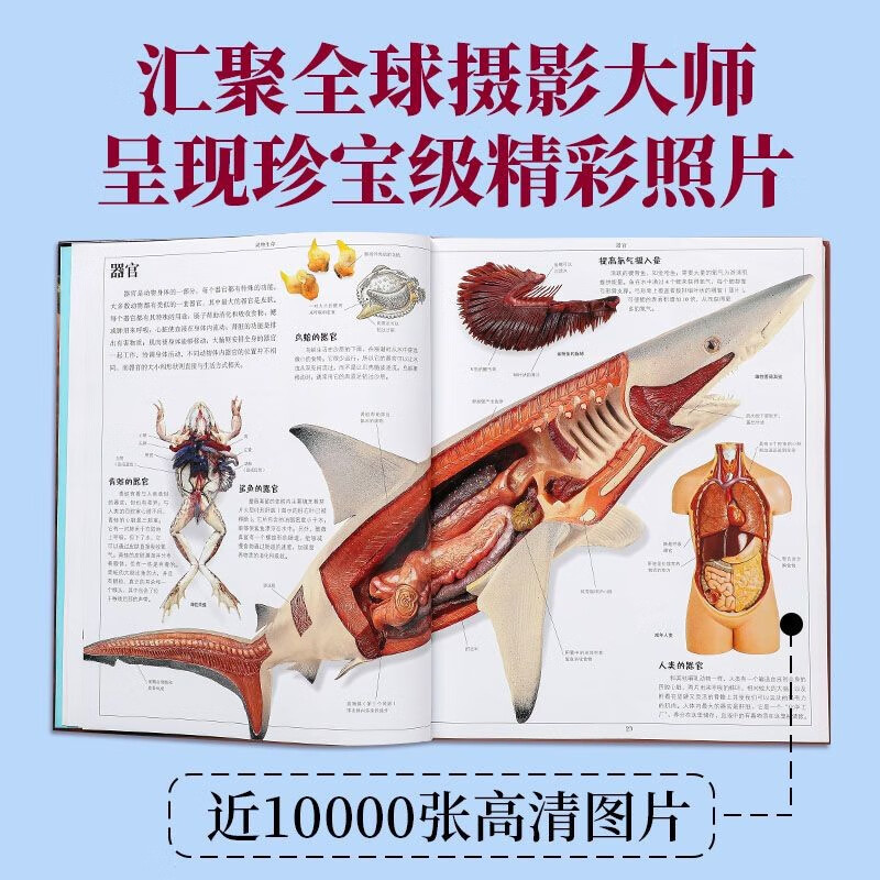 DK Children's Encyclopedia Global Classic Collector's Edition (hardcover 5 volumes) Science + History + Nature + Animals + Space 7-10 years old