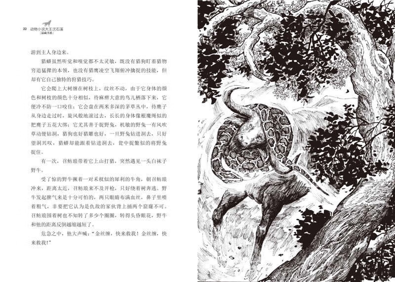 The Way of the Big Fish, upgraded version, animal novel king Shen Shixi's collection of books, children's literature extracurricular books, extracurricular reading, summer reading, extracurricular books