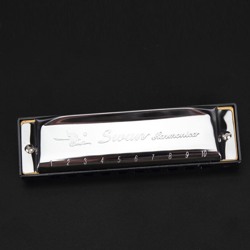 Swan Blues Harmonica Diatonic Blues Ten Holes Twelve Keys Complete Set for Beginners and Students Beginners' Introductory Practice 10 Holes A Flat