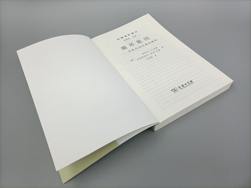 Circular questioning Systematic therapy case tutorials A book from the Psychotherapy Translation Series on systemic therapy Li Songwei recommends a book worth reading in a year