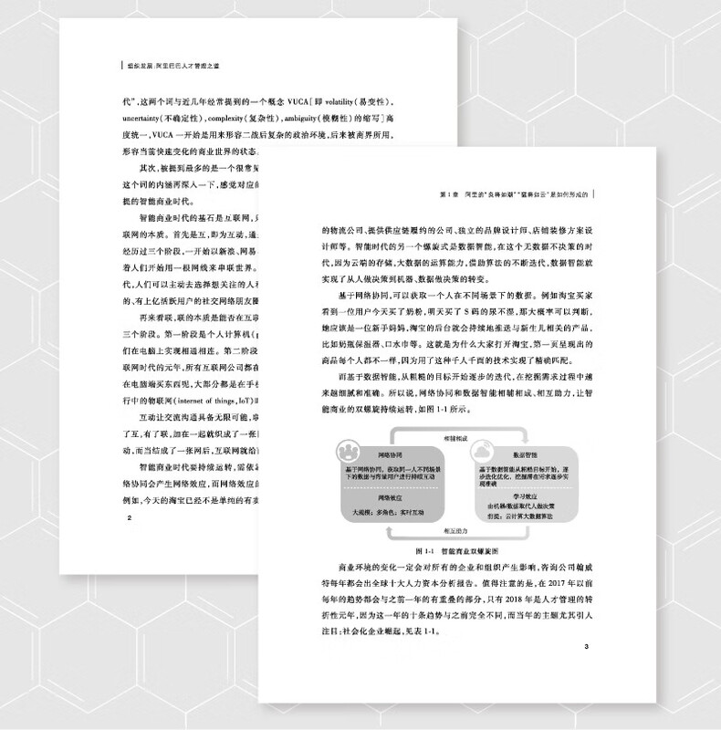 Organizational Development Alibaba’s Talent Management Approach