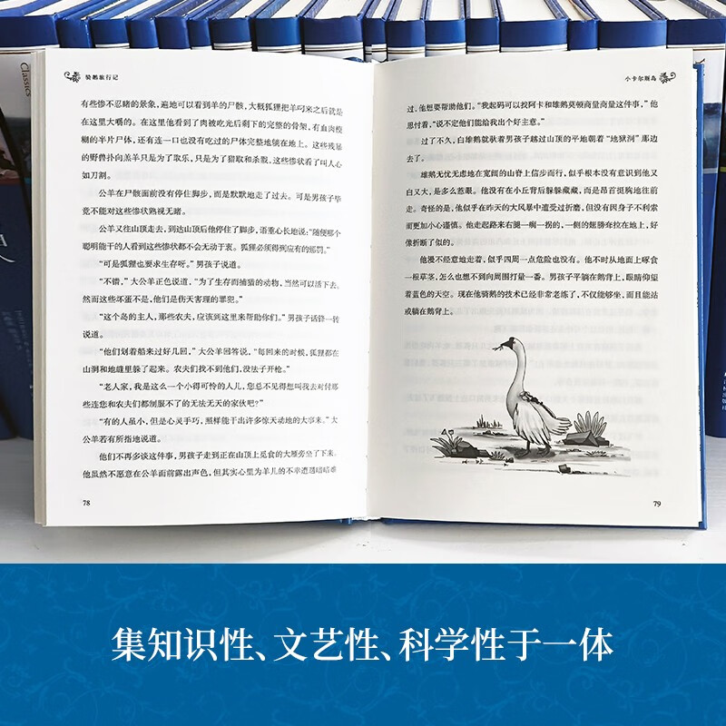 Classic Translation Lin's Travel Notes Riding a Goose