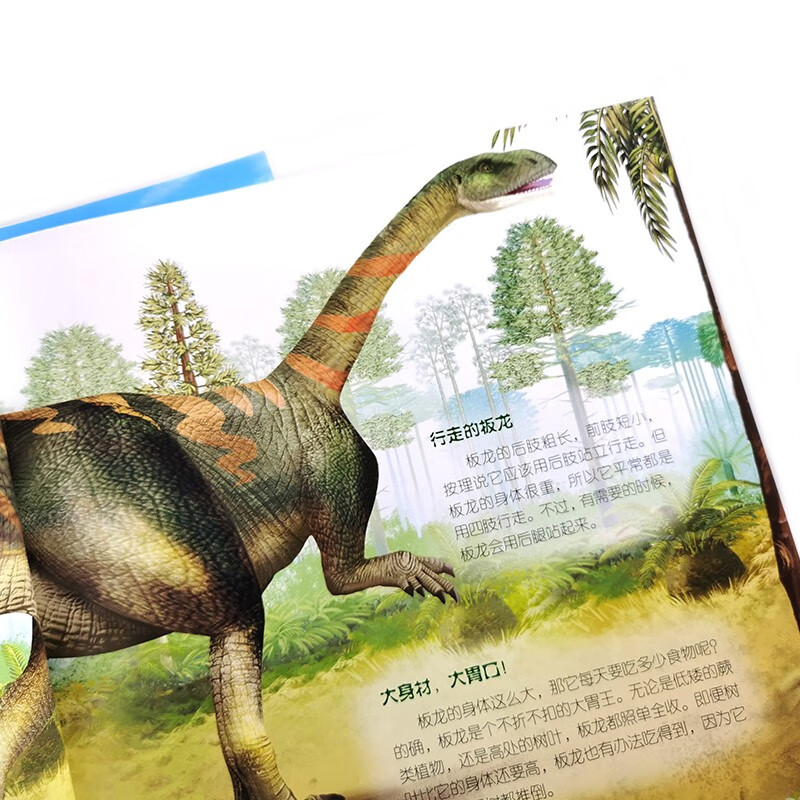 3-6 years old Children's Eyes to Know the World Science Museum Dinosaur Kingdom