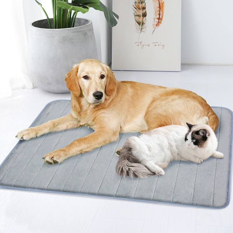 Pilot Pet Dog Mat Cat Dog Nest Sleeping Mat Mattress Spring, Summer, Autumn and Winter Four Seasons Special Floor Mat Supplies 40*60cm