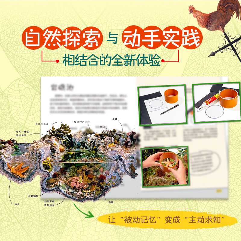 DK Children's Natural Encyclopedia (Exploration Encyclopedia, Exploration Encyclopedia) (2 volumes) 7-10 years old children's books children's book set