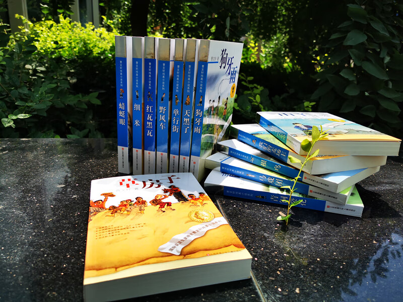 The complete collection of Cao Wenxuan's pure and beautiful novels (a set of 14 volumes in total)/a collection of peak works that represent the style and taste of Cao Wenxuan, the winner of the International Hans Christian Andersen Award. The complete version has been sold for more than 20 years. It is recommended reading by front-line teachers all over the world. It has diverse styles and rich themes, and details the colorful growth and life of teenagers. Money-saving card