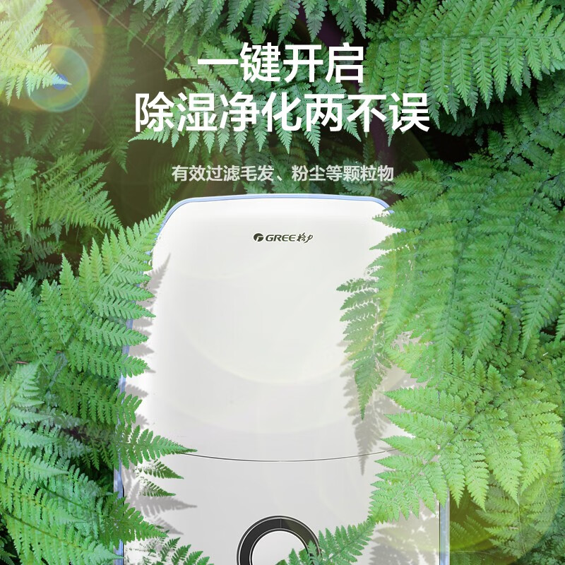 Gree (GREE) easy to operate dehumidifier/dehumidifier for home bedroom small low-noise dehumidifier compressor type moisture absorber 12 liters/day suitable for single room 24 DH12EA