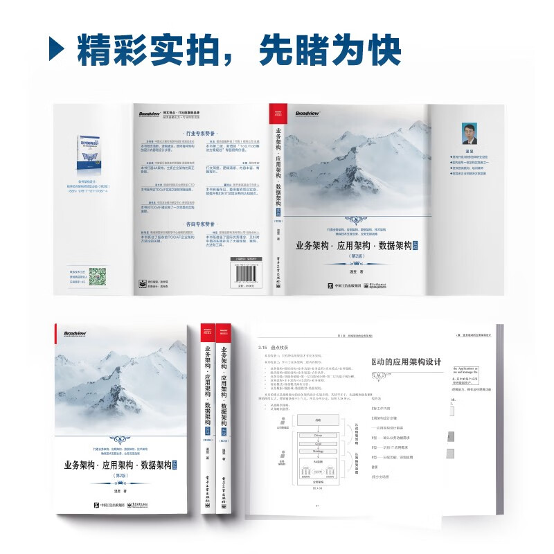 Business Architecture Application Architecture Data Architecture in Practice (2nd Edition)