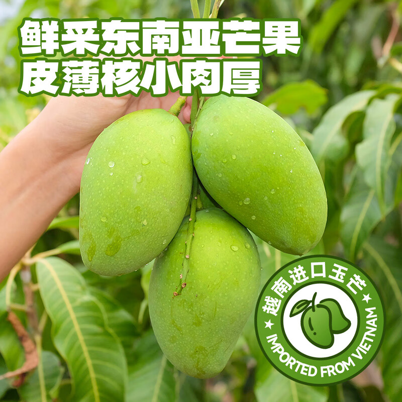 Zhanyi Dried Mango 200g Large Thick-cut Dried Fruit Candied Milk Cake Snow Flakes Preserved Fruit Dried Fruit Chips Snacks Snacks Baked