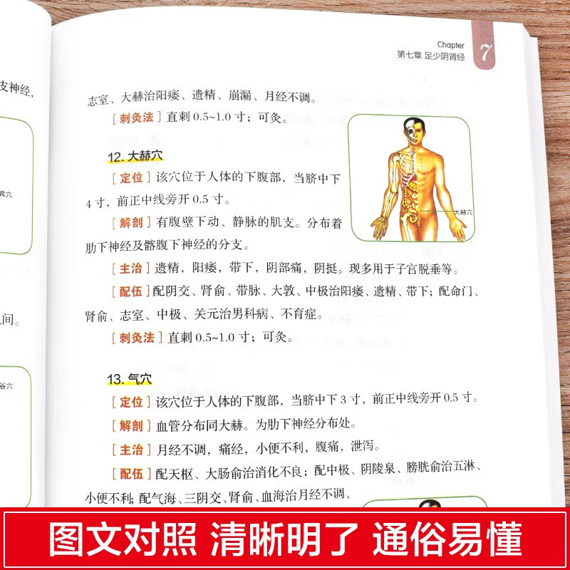 Quick Check Manual of Whole Body Meridians (Classic Color Illustration Version)