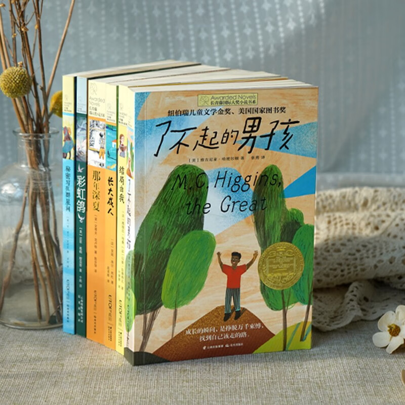 Ivy League International Prize novel graded reading for primary school seniors, selected 6 volumes of The Amazing Boy, The Ending Is, Secrets Are Written Among the Stars, etc. Must-read for primary and secondary school students in grades 4, 5 and 6, International Children's Literature Award classics extracurricular reading that influence children's lives.