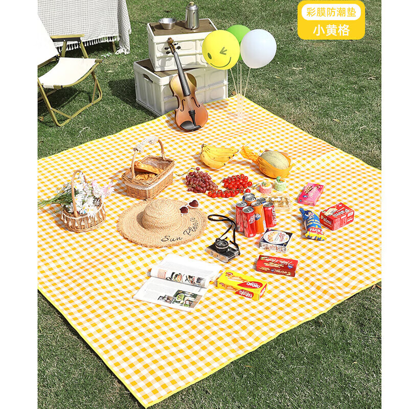 Muhuo moisture-proof mat, beach mat, waterproof and moisture-proof tent mat, thickened camping mat, aluminum film crawling mat, large size