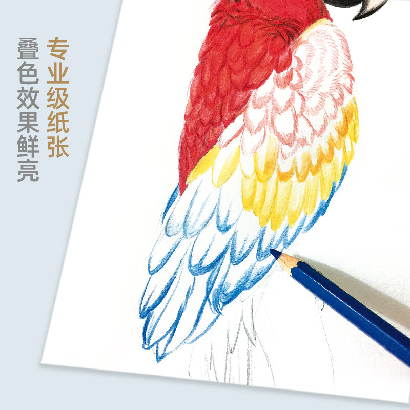 16 pages <Special Book for Colored Leads> 40 pieces of drawing paper a4 color pencil sketch art book high white paper color bright and rich hand-painted drawing picture book