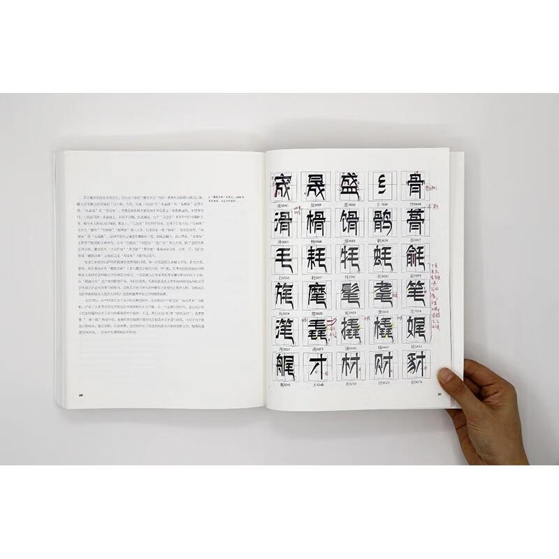 Illustrated History of Modern Chinese Character Design Peking University Press Book by Zhou Bo