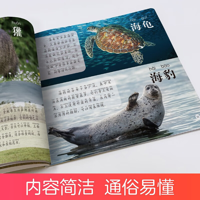 Amity Children's Children's Eyes Viewing the World and Recognizing Animals 3-6 Years Old Children's Reading Picture Recognition Book Kindergarten Enlightenment Puzzle Early Education Picture Book Animal Encyclopedia Complete Set of Color Pictures and Phonetic Version