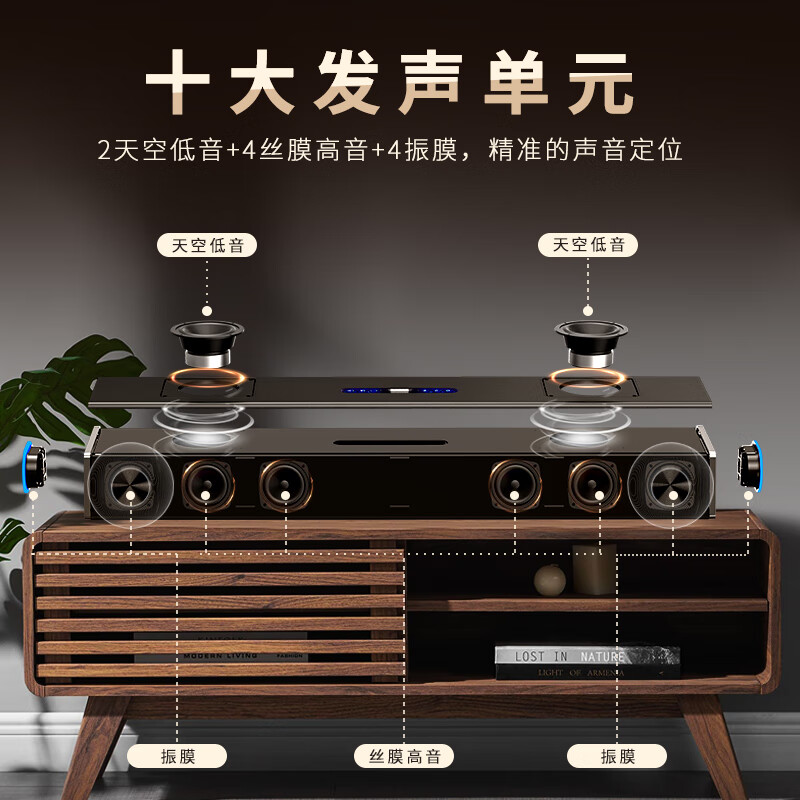 Newmine G69 PRO Echo Wall Speaker Home KTV Speaker Set Home Theater TV Speaker Living Room Home Wireless Karaoke Bluetooth Speaker Microphone