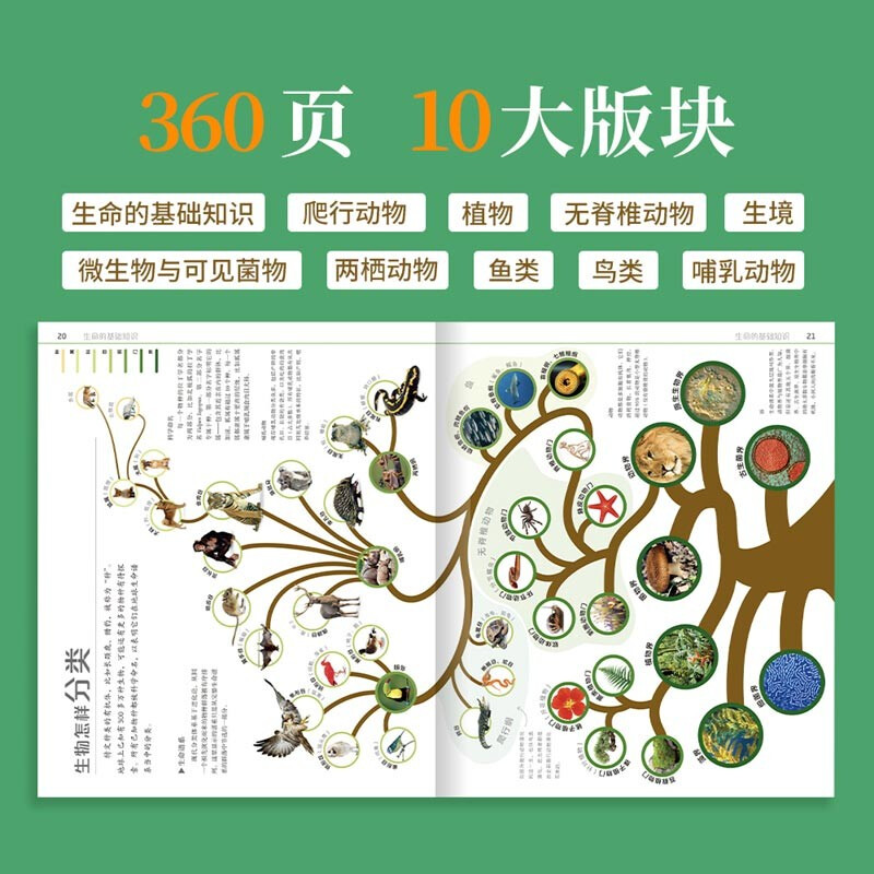 The Secret of DK’s Natural Operation Children’s Book