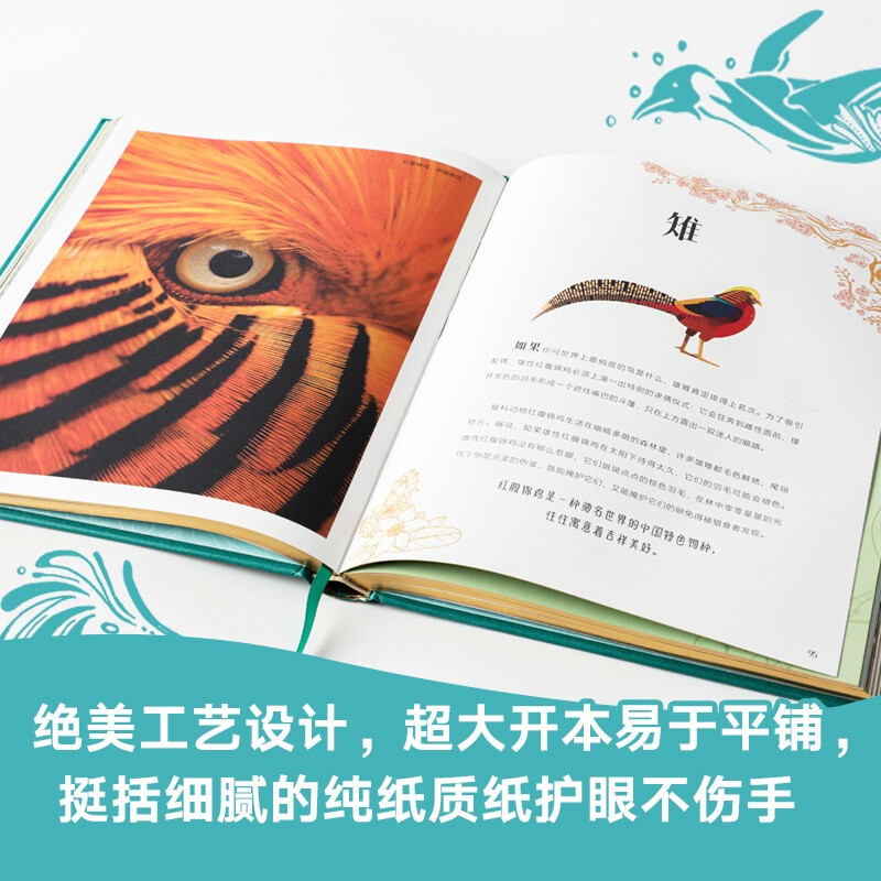DK Encyclopedia of Wonderful Animals Children's Books Recommended Book List for Primary School Students