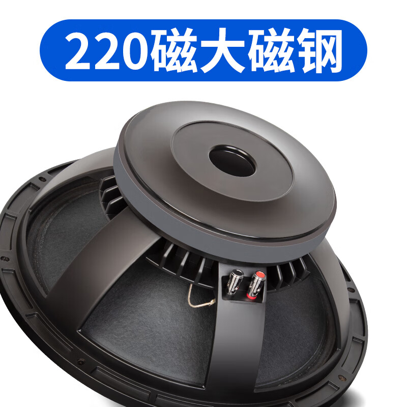 Depusheng Depusheng D815 professional single 15-inch speaker set inch stage wedding outdoor conference performance HiFi passive audio KTV engineering full frequency single 15-inch luxury package