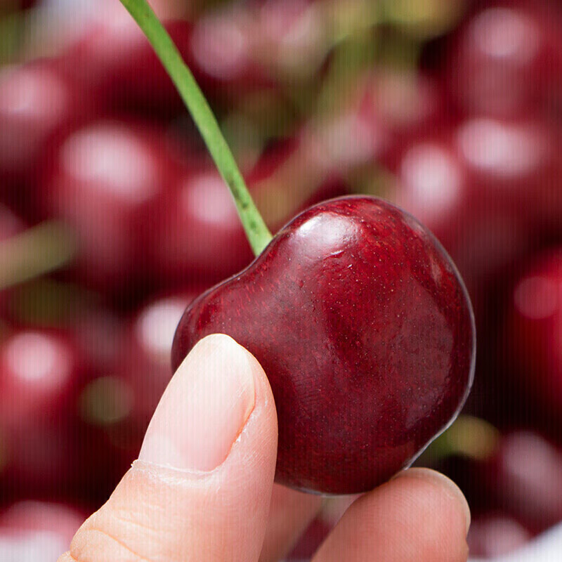 Cherry fresh Chilean imported cherries JD/SF Express next-day delivery to many places New Year's Day gift box 2.5 catties (net weight) gift box very cost-effective Big Mac JJJ 10-12g丨Big and super sweet
