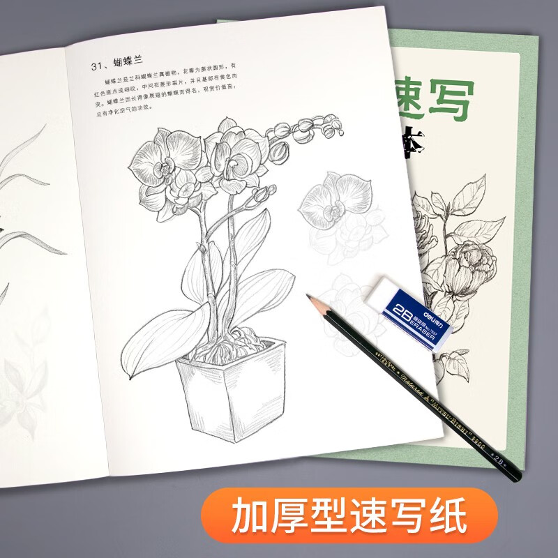 The complete collection of classics <Flower Sketch Copy Book> Zero-Based Painting Beginner Self-Study Tutorial Book Line Drawing Flower Copying Hand Drawing Teaching Material Pencil Drawing Sketch Sketching