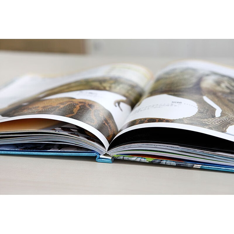 DK Why Encyclopedia for Preschoolers, 5 volumes, enlightenment for children aged 3-6 years old, baby question and answer book, parent-child reading picture book before going to bed, solving all the whys, knowledge preparation