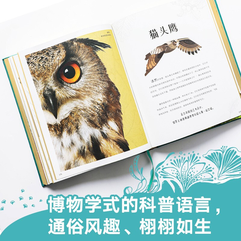 DK Encyclopedia of Wonderful Animals Children's Books Recommended Book List for Primary School Students
