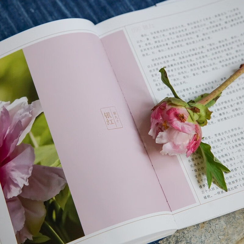 Chinese Traditional Colors 100 Lectures on Color Knowledge Chinese Traditional Colors Color Aesthetics in the Forbidden City Color Aesthetics in Dunhuang National Colors Mountains and Rivers by Guo Hao Water Color Sky Light Vegetation Utensils Fish and Insects