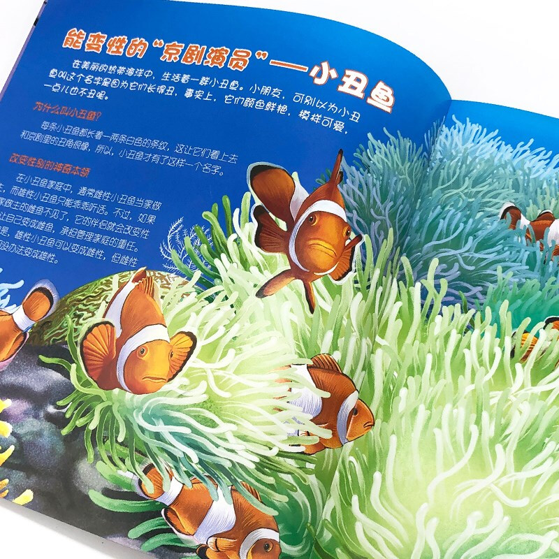 3-6 years old Children's Eyes to Know the World Science Museum Marine Animals