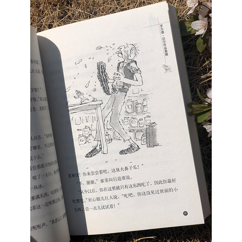 Collection of Roald Dahl's Works The Good-Intentioned Giant 7-10 years old Extracurricular reading for first grade and second grade of primary school Children's literature Children's gifts Jingdong 618 Reading list First to second grade transition Primary to junior high grade transition