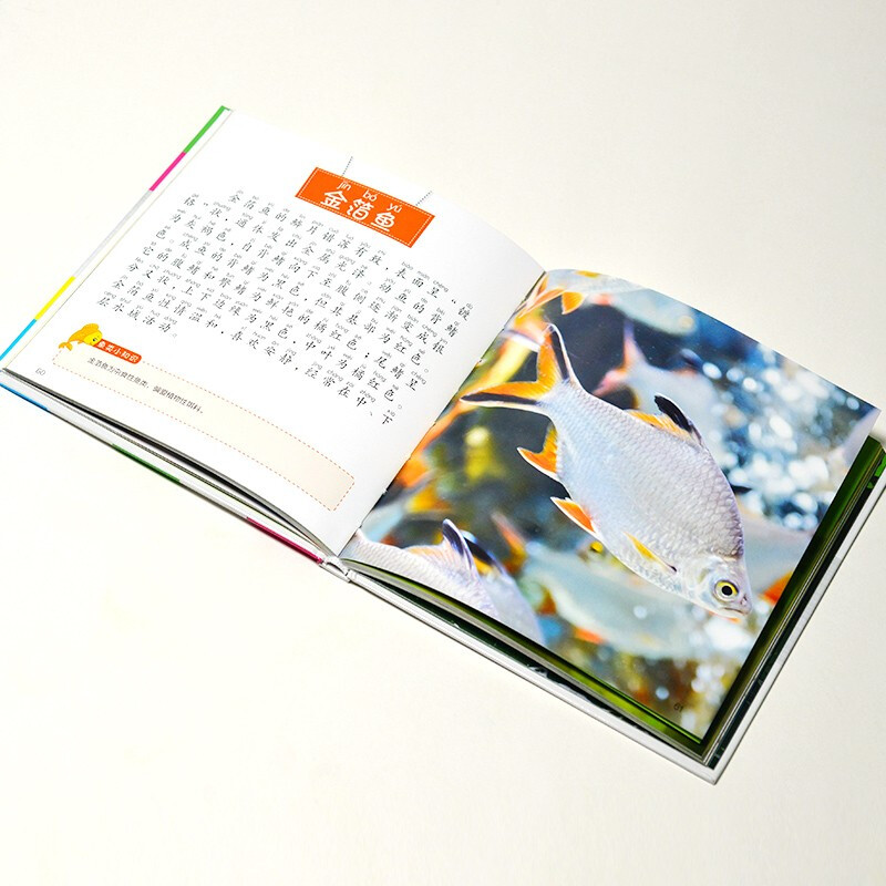 Fish Encyclopedia (1-minute Children's Encyclopedia) Soft Pack Hardcover Audiobook Phonetic Version Popular Science Readings 3-6-8 Years Old Kindergarten Grade 1, 2, and 3