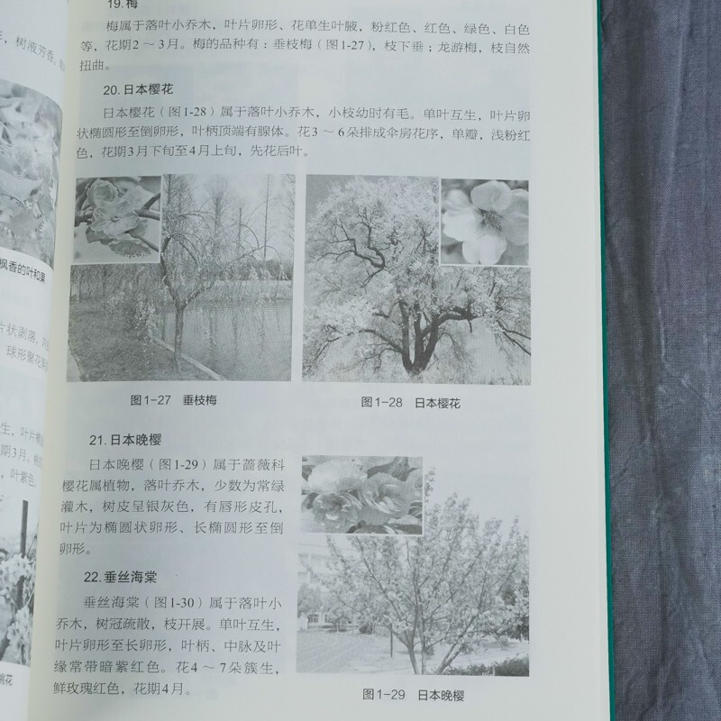 Landscaping maintenance and management from entry to proficiency