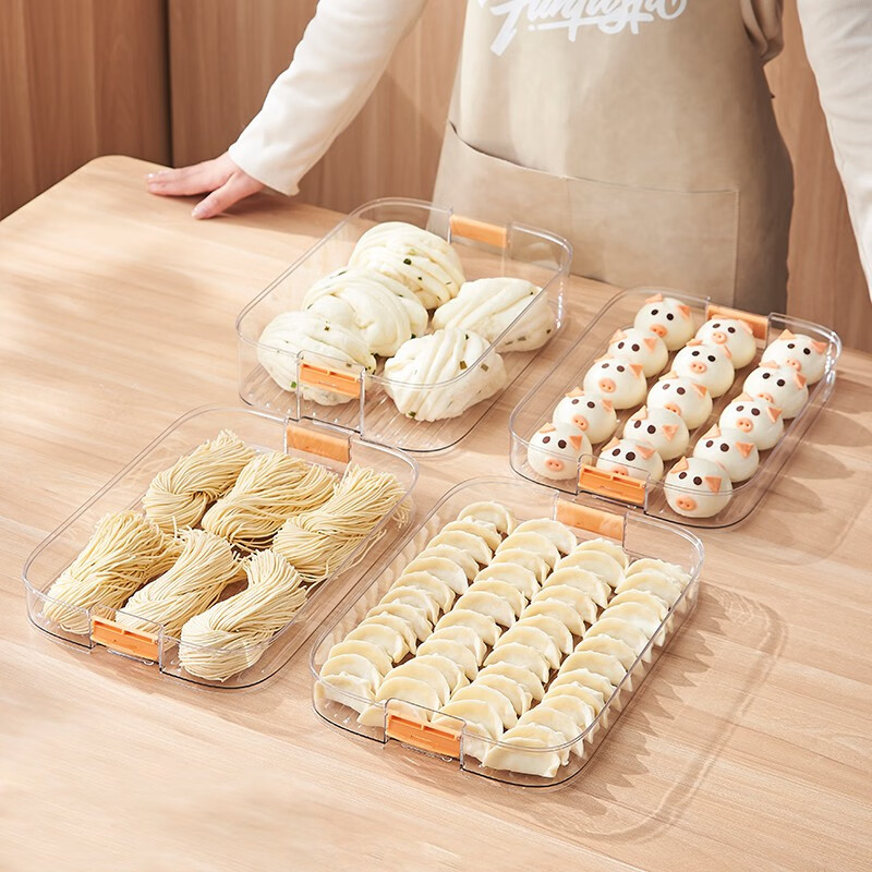 Longstar Dumpling Box Refrigerator Storage Box Rectangular Frozen Dumpling Box Quick Frozen Food Wonton Blunt with Cover Handle Can Hold About 120 Pieces Two Layers and One Cover