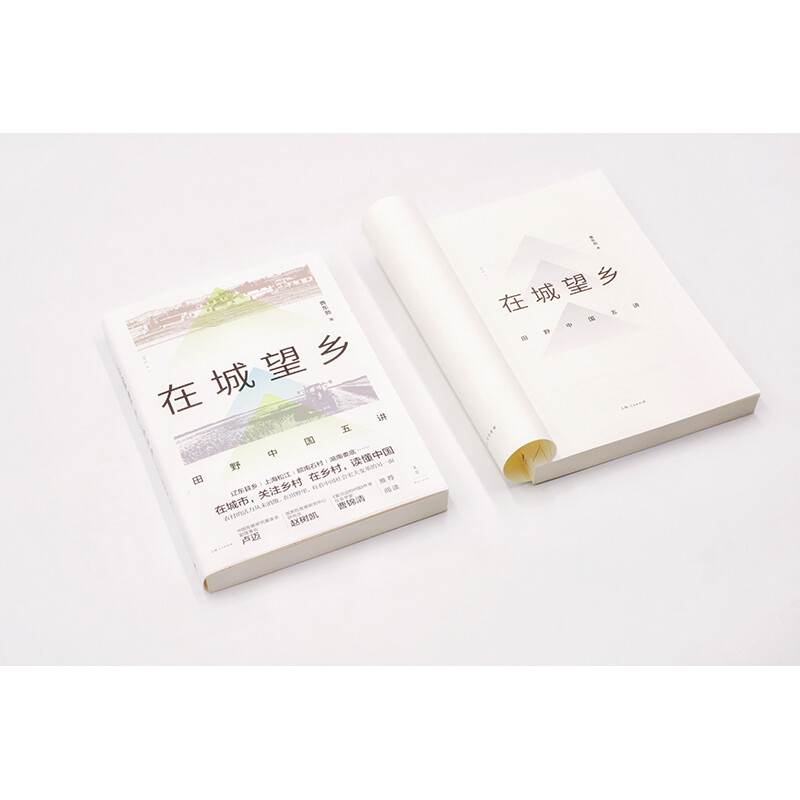 Looking at the Countryside in the City: Five Lectures on Field China