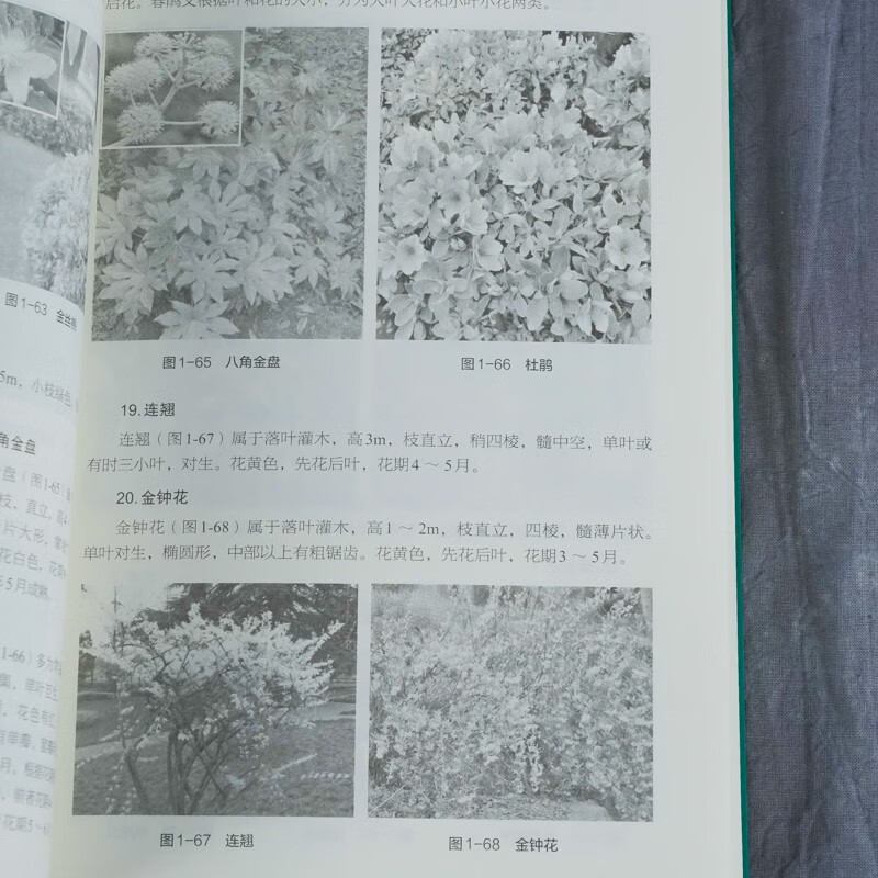 Landscaping maintenance and management from entry to proficiency