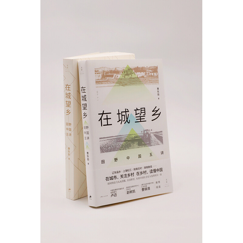 Looking at the Countryside in the City: Five Lectures on Field China