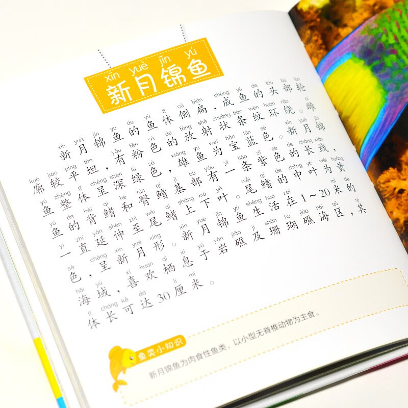 Fish Encyclopedia (1-minute Children's Encyclopedia) Soft Pack Hardcover Audiobook Phonetic Version Popular Science Readings 3-6-8 Years Old Kindergarten Grade 1, 2, and 3