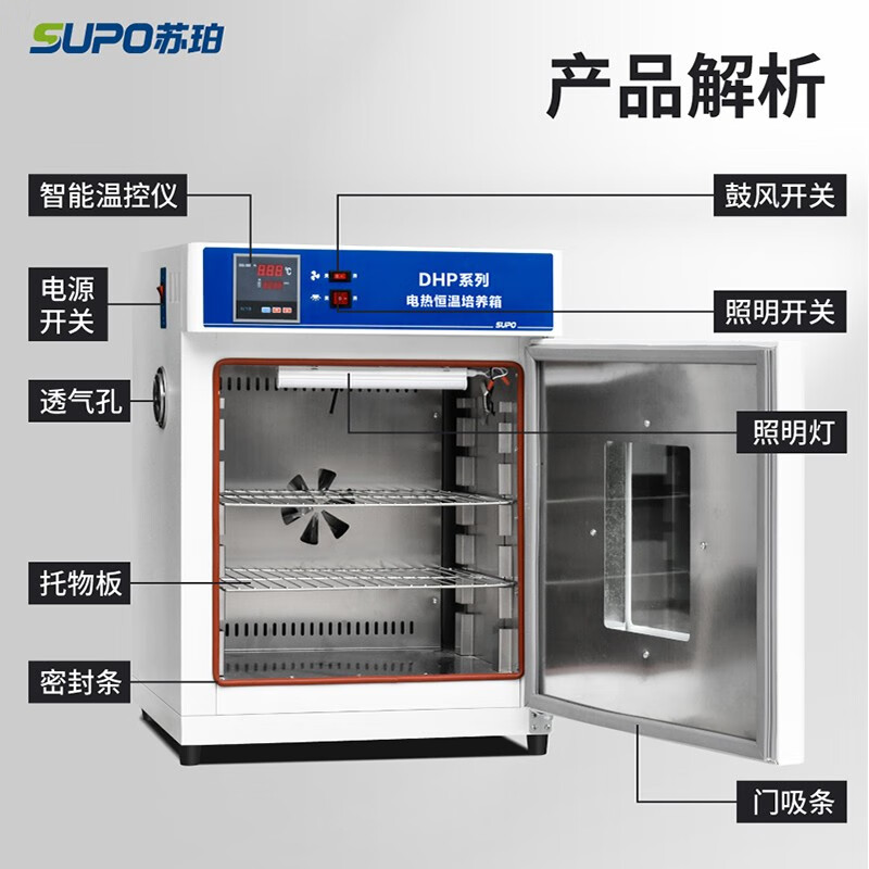 Super Electric Constant Temperature Incubator Oven Laboratory Bacteria Mold Microorganism Peritoneal Fluid Cell Plant Seed 303-0 Liner Galvanized No Air 15L