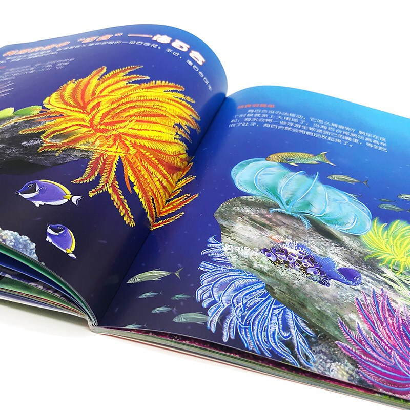 3-6 years old Children's Eyes to Know the World Science Museum Marine Animals