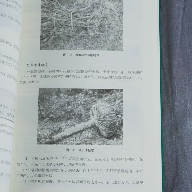 Landscaping maintenance and management from entry to proficiency