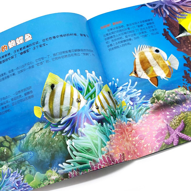 3-6 years old Children's Eyes to Know the World Science Museum Marine Animals