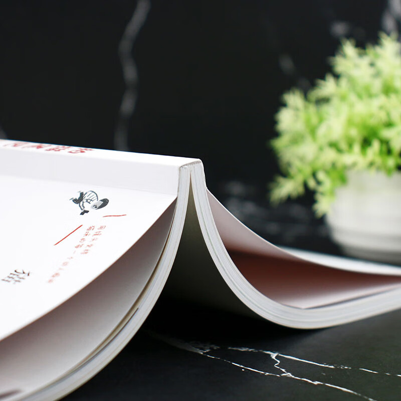 Cat Photography Notes Exclusive photography tips for cat lovers