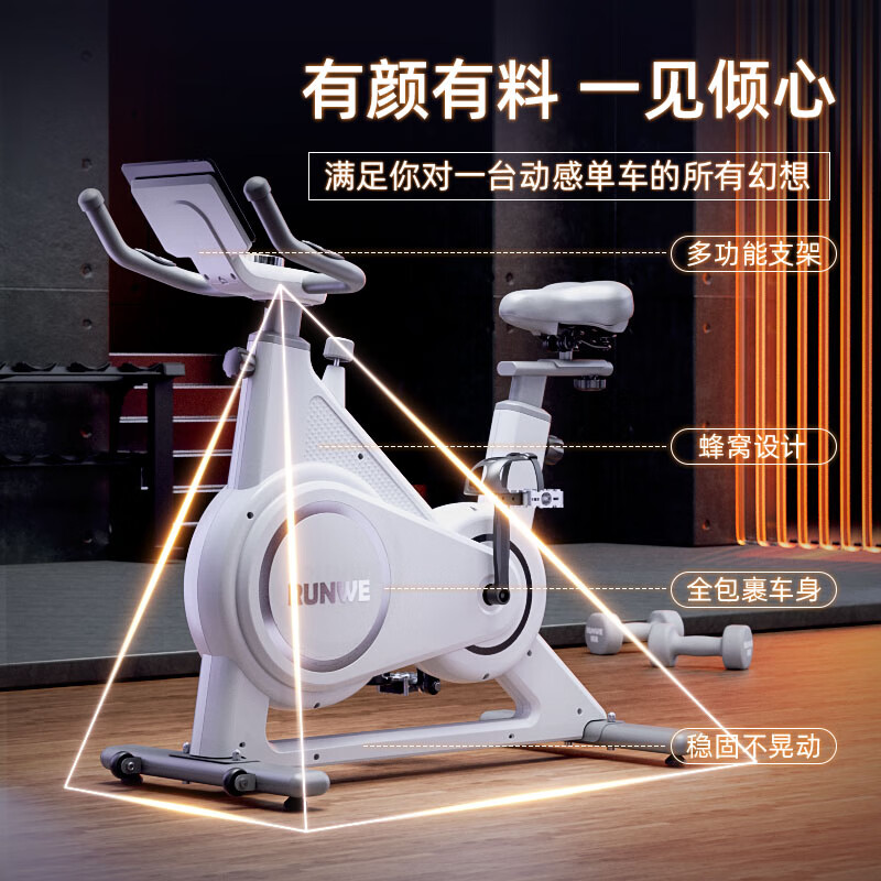 Langwei Spinning Bike Home Fitness Equipment Ultra-Quiet Indoor Sports Bike Magnetic Control Gym Use Ordinary Mechanical Model-Manual Magnetic Control (Elegant White)