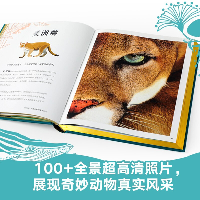 DK Encyclopedia of Wonderful Animals Children's Books Recommended Book List for Primary School Students