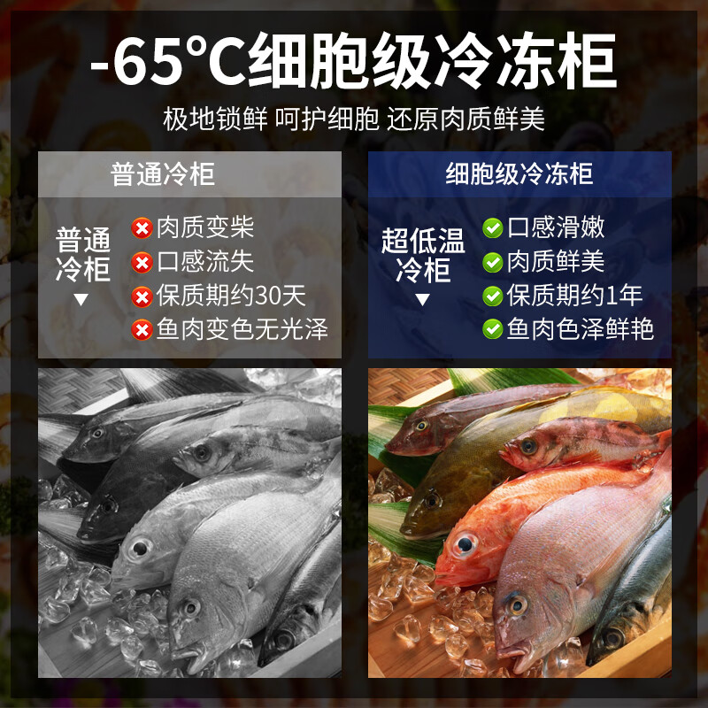 Chixue ultra-low temperature freezer minus 60 degrees seafood tuna minus 80 degrees industrial laboratory cell deep-freezing refrigerator-50 degrees commercial large-capacity dumplings and buns quick-freezing freezer 768L dual machine -65 1744*594*675