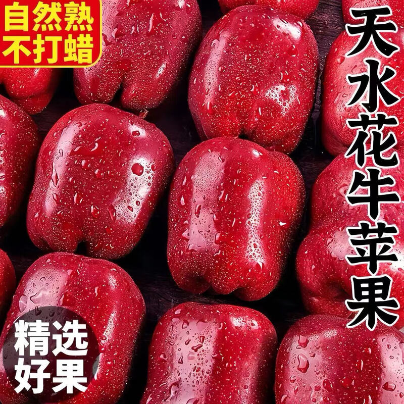 Gift Box Authentic Gansu Tianshui Huaniu Apples, Damaged Fruits Included, Color Box, Net 4.5 Jin, Large Fruits 80-84mm