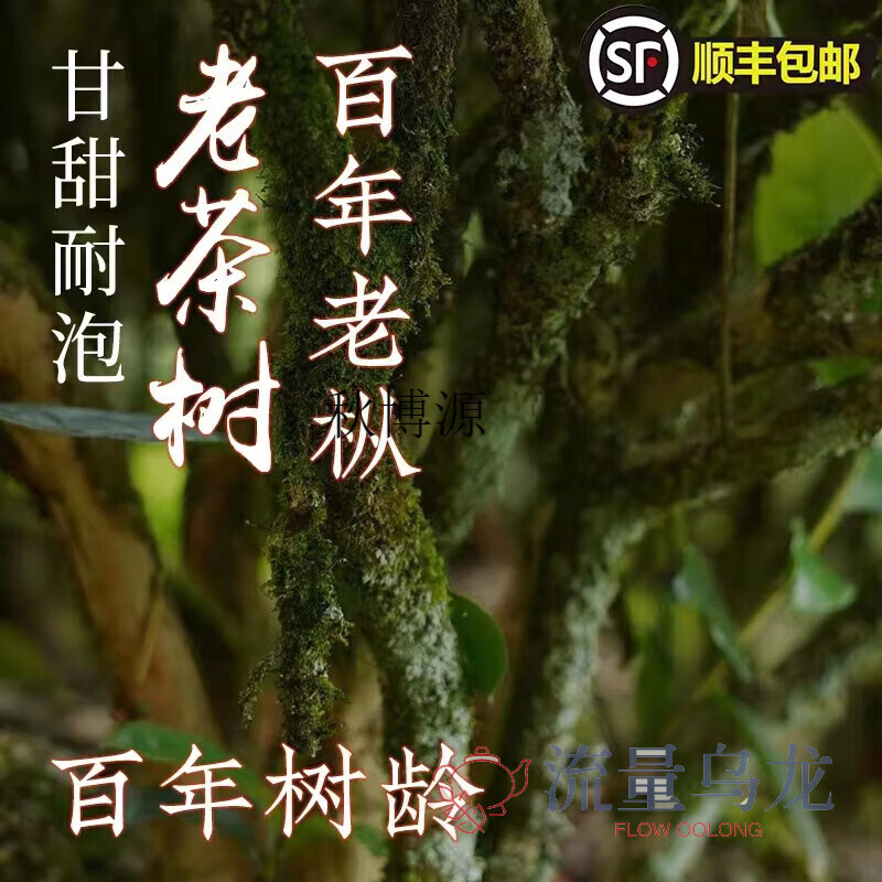 Qiu Boyuan Lao Cong Black Tea Hundred Years Old Authentic Tongmuguan Lapsang Souchong Special Grade 500g Canned Tea Small Bag