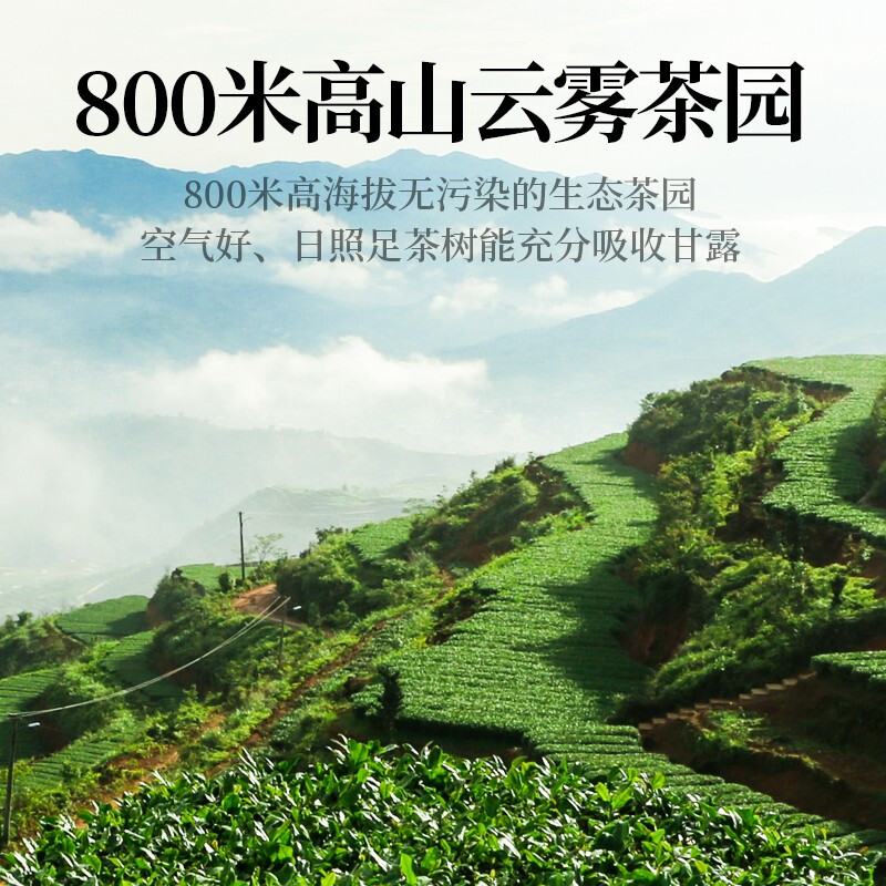 Legend Club Oolong Tea Anxi Tieguanyin Fragrance Special Grade 336g Light Fire Gift Box Tea for self-drinking and holiday gifts